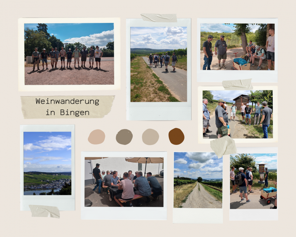 Weinwanderung in Bingen!